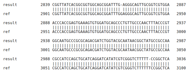 Alignment of resultant sequence to reference