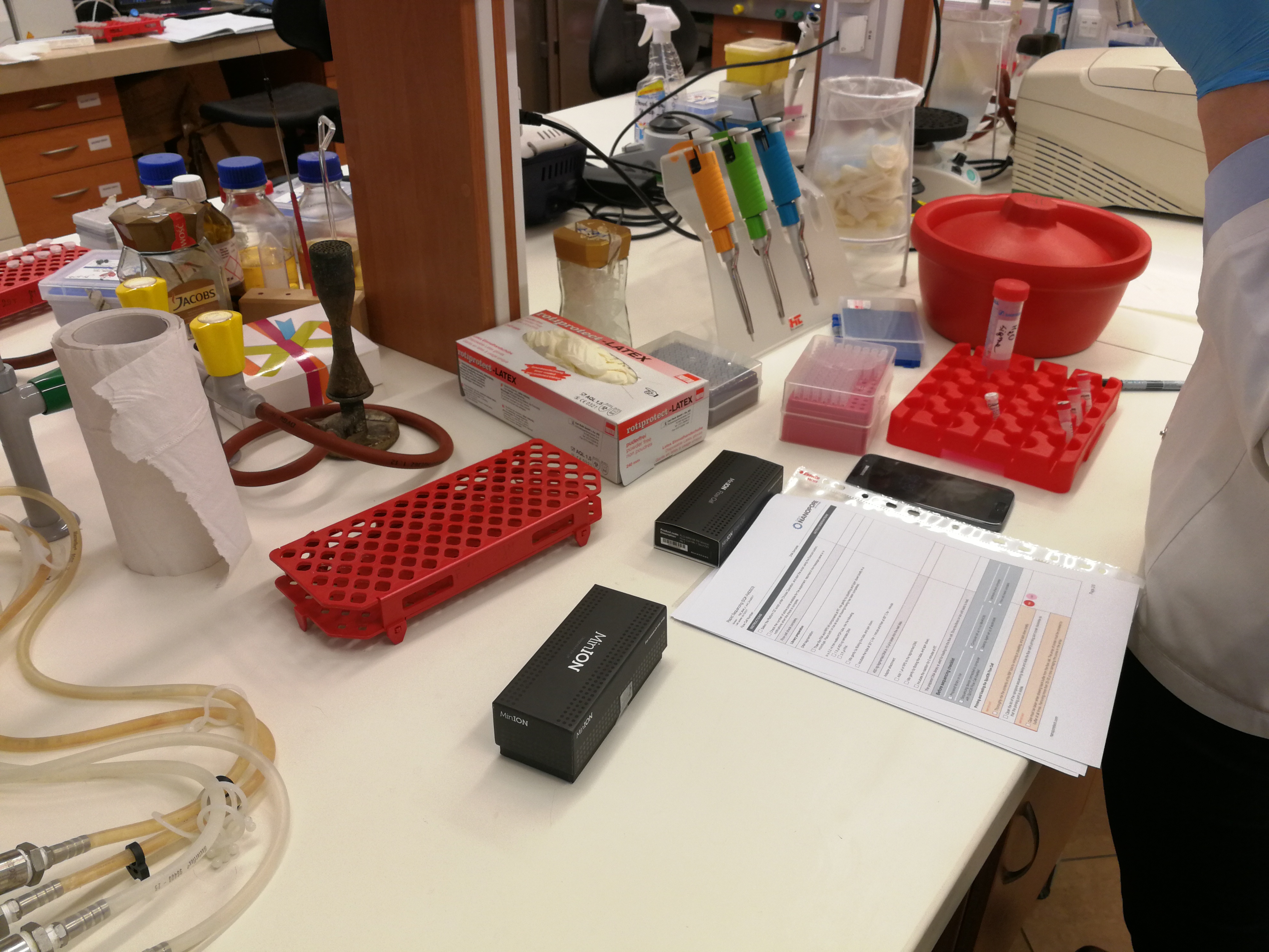 First MinION experiment - Pichia fermentans